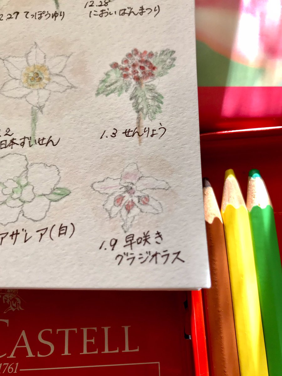 Twoucan 早咲きグラジオラス の注目ツイート イラスト マンガ コスプレ モデル Twoucan 早咲きグラジオラス の注目ツイート イラスト マンガ コスプレ モデル
