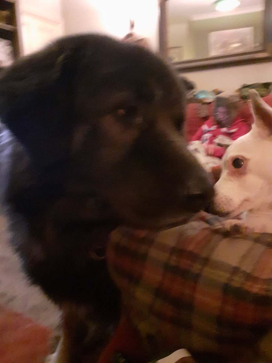 The Gnurb tweet media