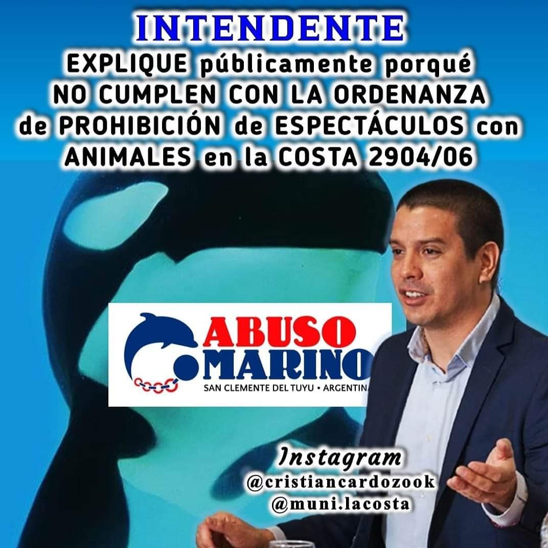 #CierrenMundoMarino #LiberenAKshamenk <a href="/proyectogalgoar/">Proyecto Galgo Arg 🐬Ⓥ</a>