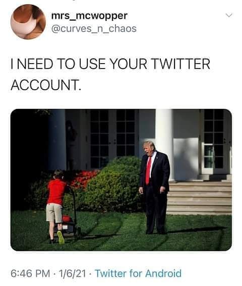 Scott Cutshall tweet media