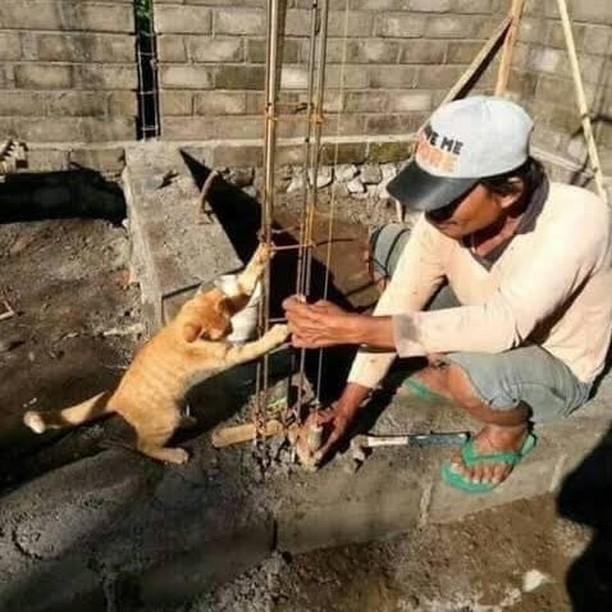 ᴋᴇᴡᴀᴊɪʙᴀɴ ᴋᴇᴘᴀʟᴀ ᴋᴇʟᴜᴀʀɢᴀ