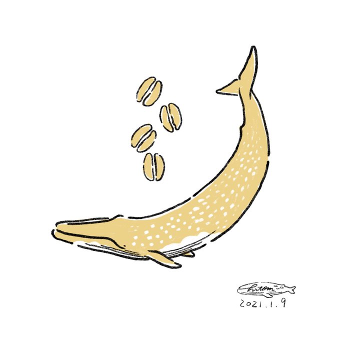 シロナガスクジラのtwitterイラスト検索結果 シロナガスクジラのtwitterイラスト検索結果