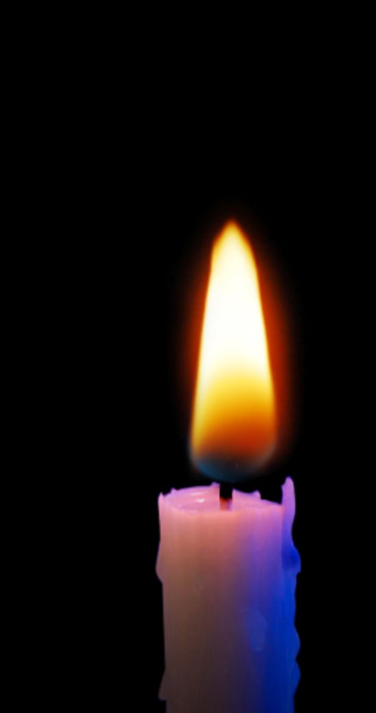 txebae__'s tweet image. por la nueva estrellita ✨ descansa en paz  

DESCANSA CACHER LYN