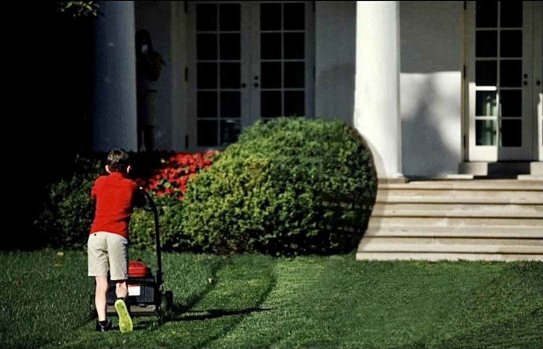 chrissteinplays's tweet image. 