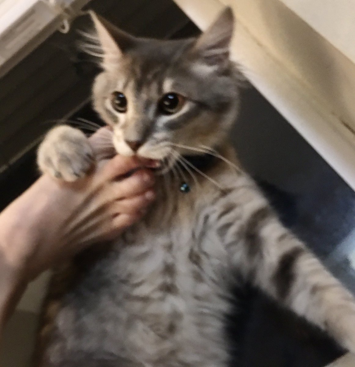 I have decided to take a mature course of action, and will pursue my stress relief by instigating a fight with this asshole By glancing in his general direction FOFA, Qat. FOFA.