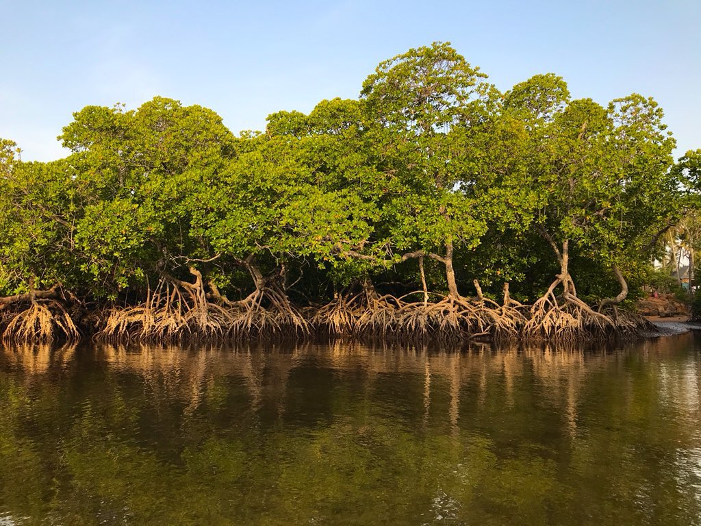 The <a href="/UNEP/">UN Environment Programme</a> Adaptation Gap Report, to be published next week, will show that we are still not taking adaptation seriously. 

As <a href="/antonioguterres/">António Guterres</a> has said, we need a global commitment to put half of all global climate finance towards adaptation before #COP26.
amp.dw.com/en/opinion-we-…