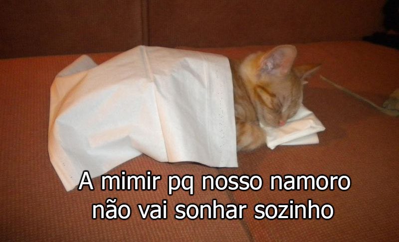 euovitinn's tweet photo. hahaha assim né https://t.co/NdmnFuuFkC