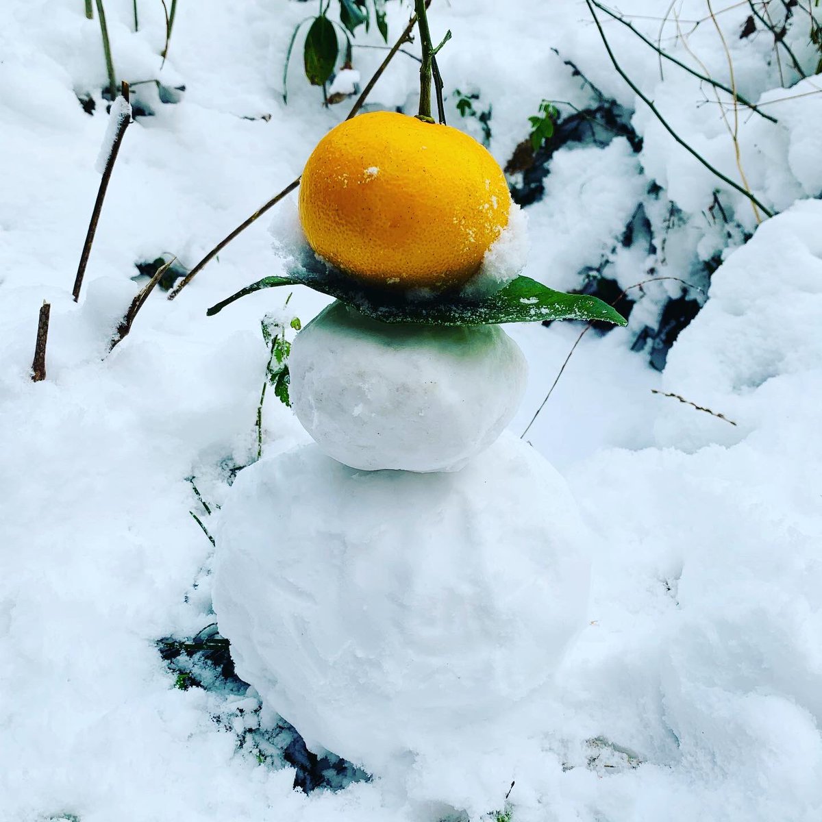 Masa31131921101's tweet photo. おはようございます♪ いや、こんにちは♪

昨日は #雪山登山 で身体バキバキになりましたw https://t.co/WL5bMQBQ2M