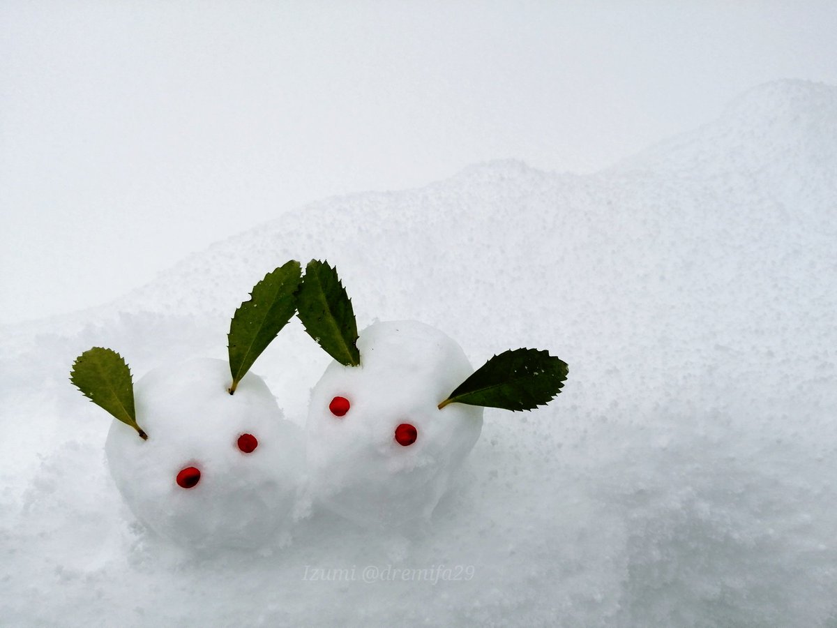 雪うさぎ