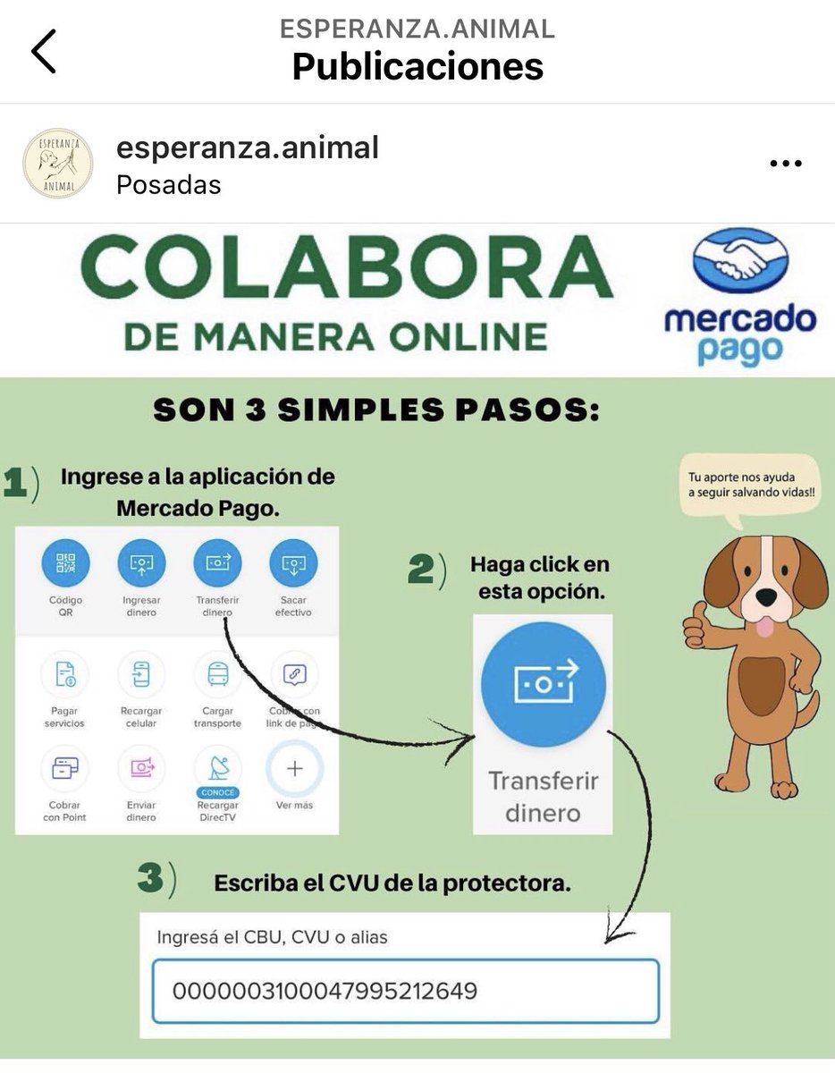 MarianJackeline's tweet photo. POR FAVOR DIFUNDIR, quedaron frenados los rescates y las entradas a veterinaria que realizaban, la mínima colaboración q puedan aportar es un montón para los sin voz, ayudemos a los animalitos (pueden entrar a sus redes sociales y ver todo lo que hacen por ellos) POSADAS-MISIONES https://t.co/KVHbITdQh1