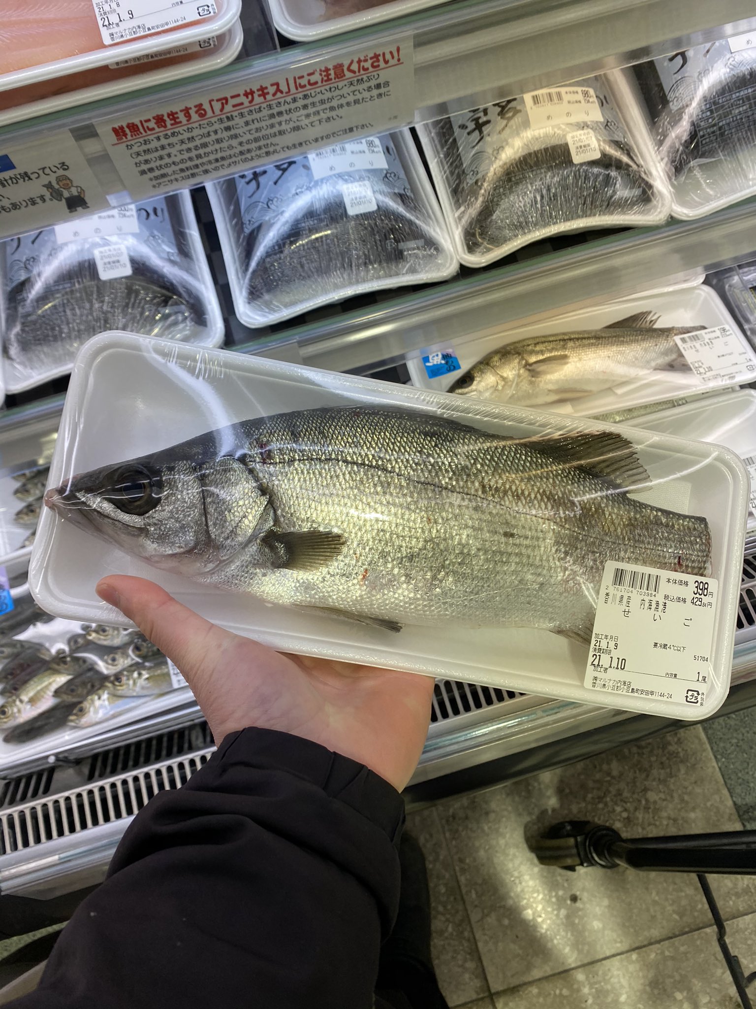 小豆島の漁師 はまゆう 小豆島の漁師も仲買の人も ヒラスズキあんま知らなくて ガリガリのスズキの中に 平然とヒラが 混じってました 最高でごわす かくいう私もyoutubeするまで 知りませんでしたw T Co Aobb3fmpao Twitter