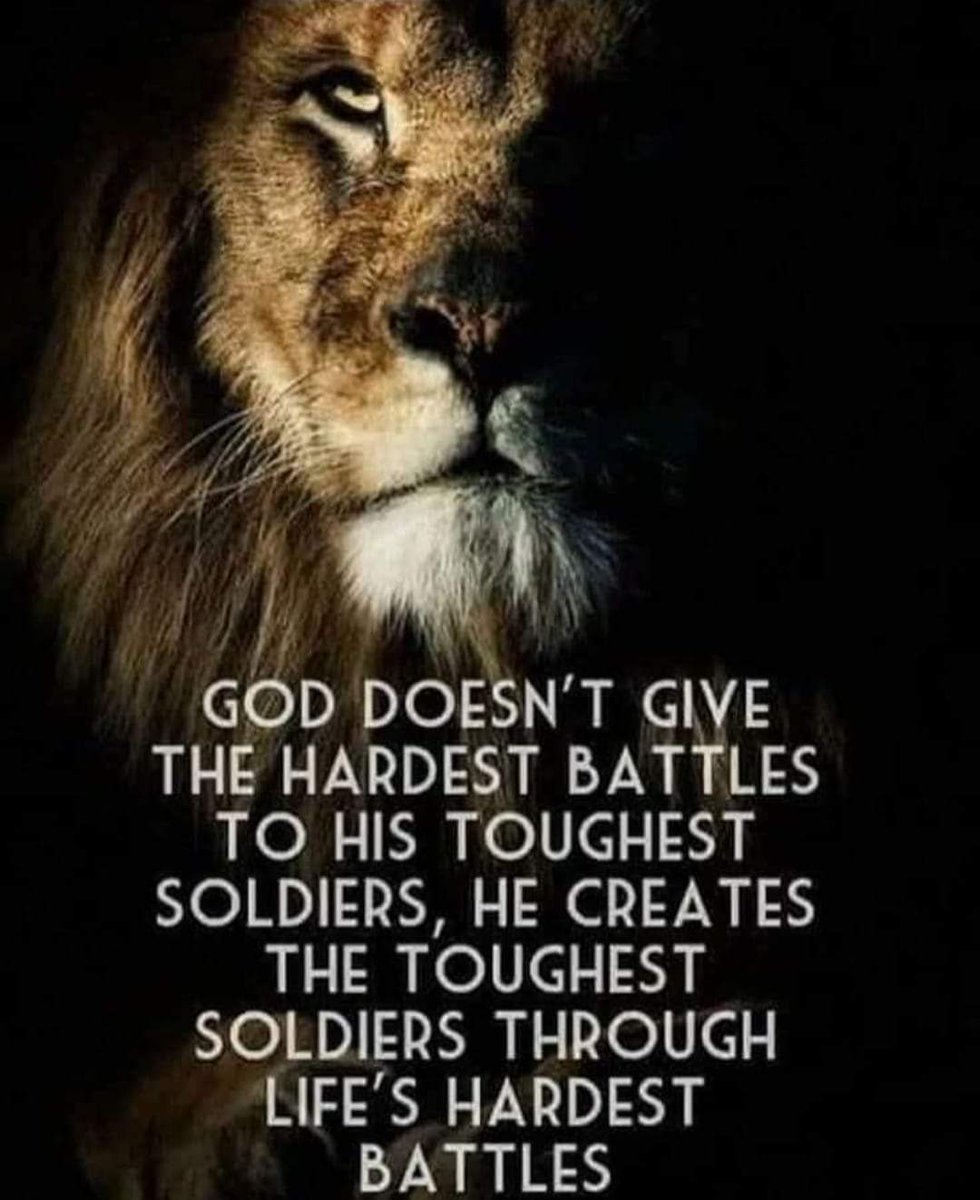 Lisa (@3_phillipskids_) on Twitter photo 