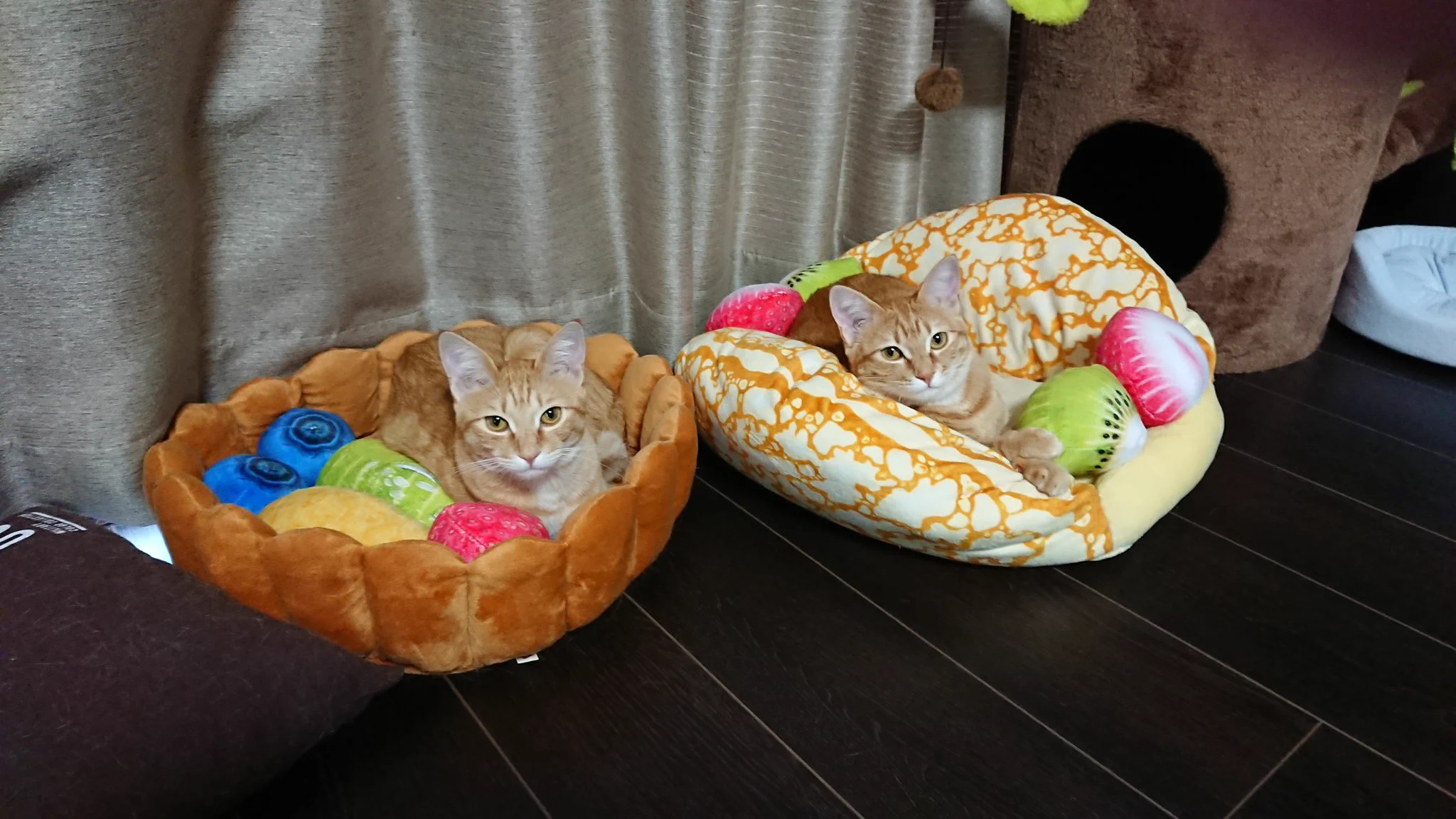 @kimuko_pi 同じシリーズのタルトとオムレットもおすすめ！ 