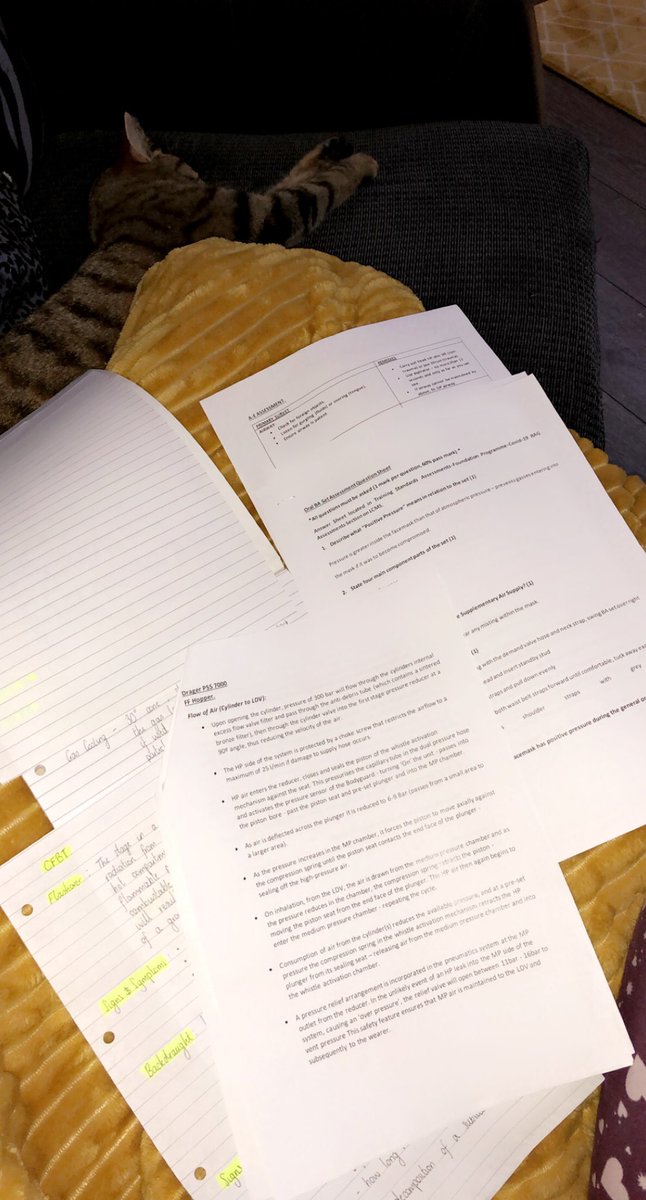 LyndsayyHopperr's tweet photo. How come you can go from having confidence in your knowledge, to your brain becoming a complete sieve 4 DAYS(!!) before you’re assessed on it?!! Or is this just me 🤦♀️😳 #sendhelp #memoryofafish #dontscrewupnow #traineefirefighter https://t.co/mfCjqcVUCu