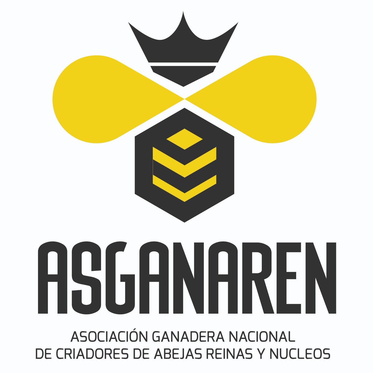 asganaren's tweet photo. En éste 2021, seguiremos trabajando por nuestras #Apis, la investigación, trabajo, dedicación y compromiso, nos motivan para qué éste año llevemos a la #apicultura a un mejor nivel. #MielViva #ASGANAREN #PorqueAmamoslasAbejas https://t.co/Ola8Q75pmO