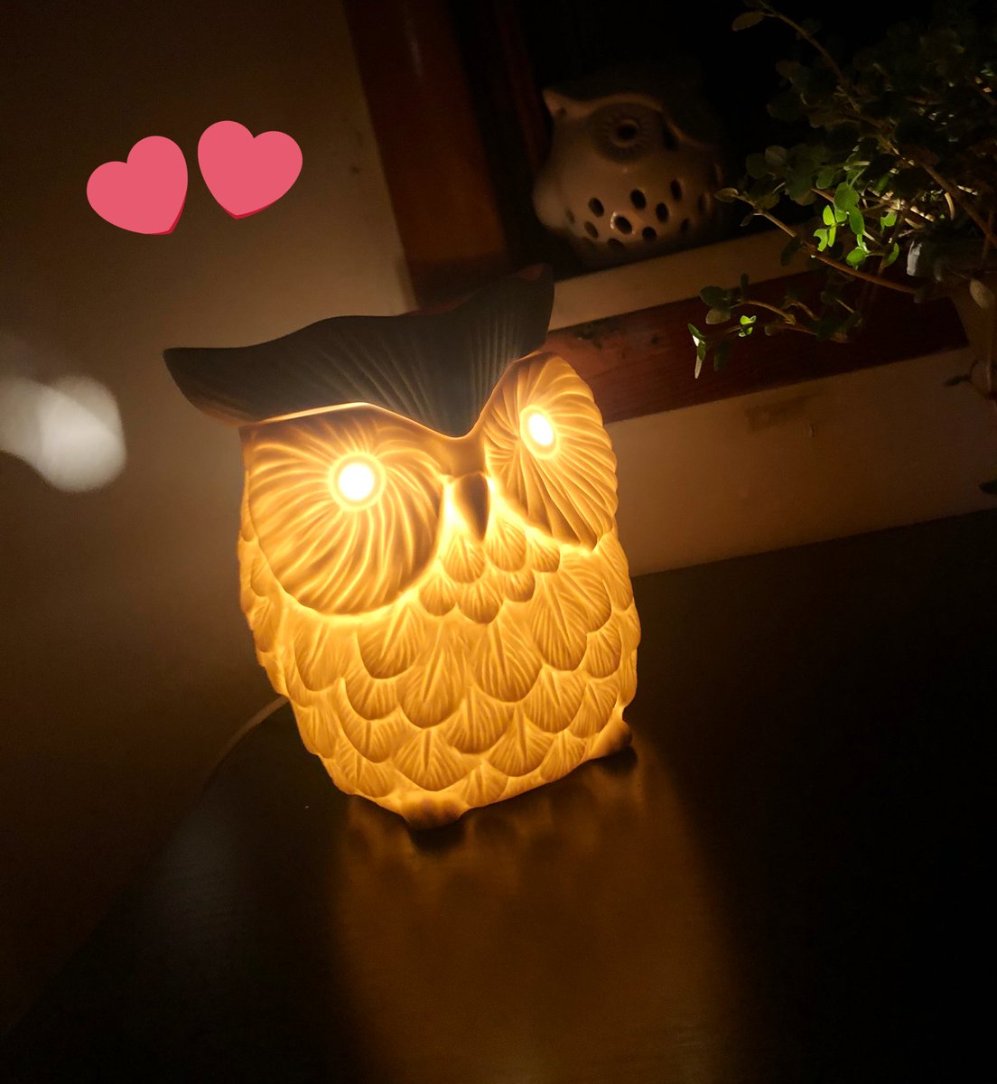 Scentsy Owl warmer ! #scentsy