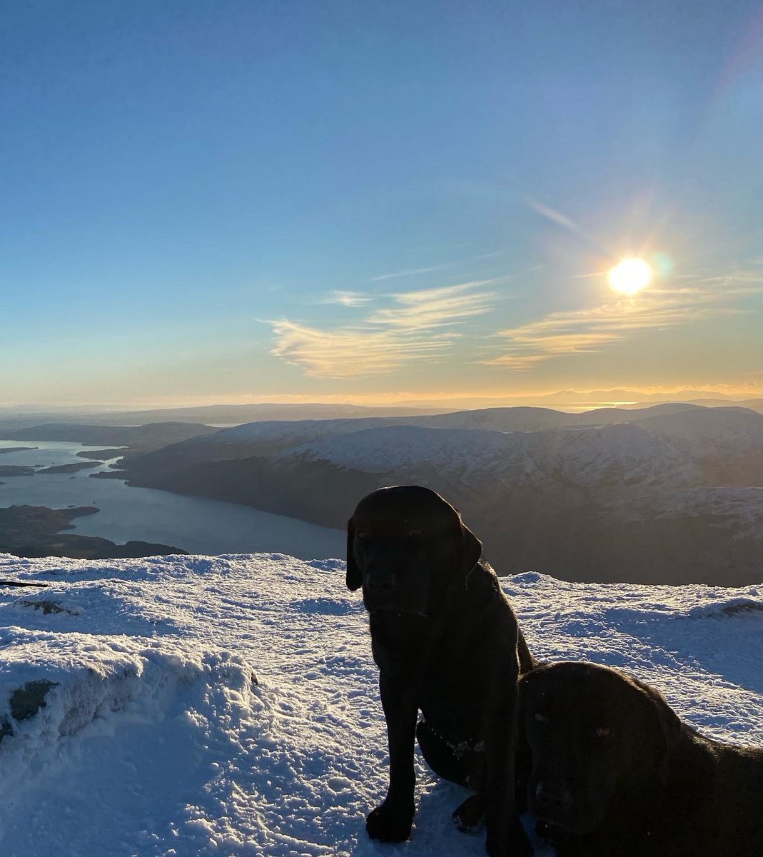 CardrossEstate's tweet photo. Incredible views from the top of Ben Lomond yesterday. The boys looking pretty tired!
.
#visitscotland #lochlomond #views #beautifuldestinations #hillwalking
#makingmemories #wintersun #winterhike #glorious #wildviews #thisisscotland #scotspirit #specialplace #dayout #photography https://t.co/hps7XcSX4w
