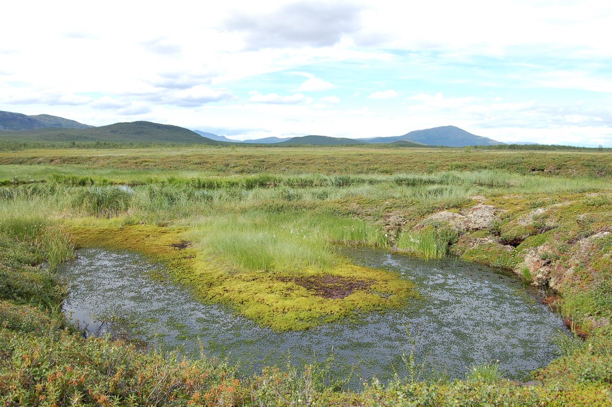 GraemeSwindles's tweet image. Our new research group funded by @QuaternaryRA_UK Peatland Ecosystems and Time (PEaT) is now live! Our remit is broad and includes peatland ecology and palaeoecology, dating and chronology, carbon dynamics, geochemistry, hydrology and archaeology. Past-Present-Future.