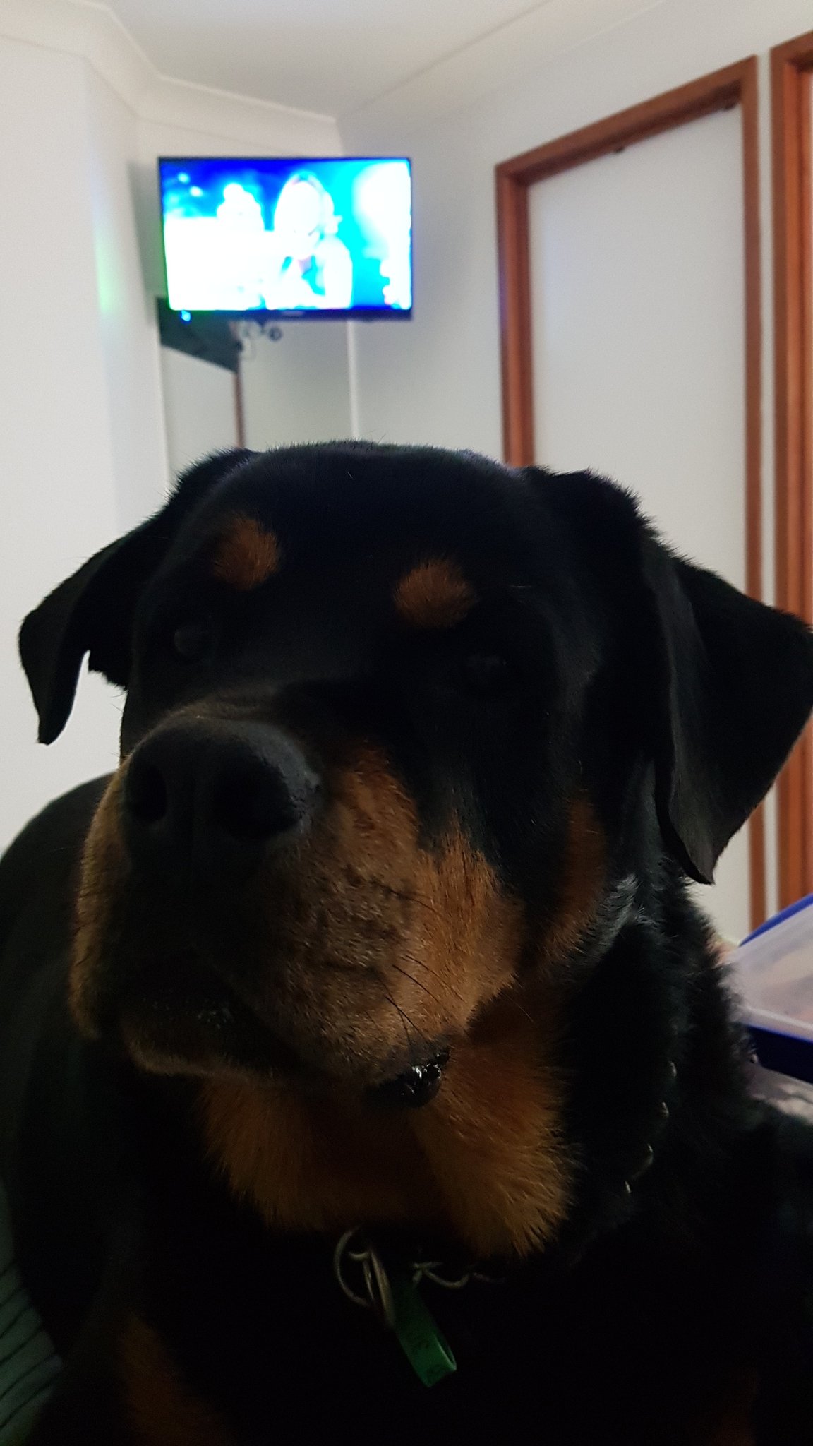   Happy birthday  soon we can get together  Guinness  misses  you xx 