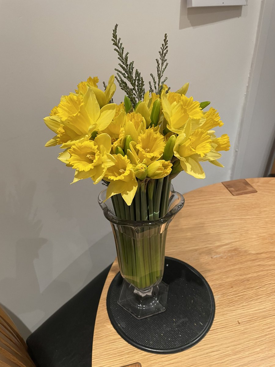 rabnoakes's tweet photo. I know it’s Saturday and a bit of round-up goes on but - Do we really need to see/hear Donald Trump again? - Ever again? Here’re some daffodils instead. https://t.co/Lg0dhGccHs