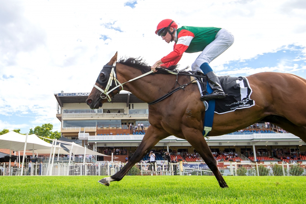 PerthRacing's tweet photo. La Farola (Chris Parnham) Won R3 Crown Towers Plate at Ascot Racecourse on Sat 9th Jan. WATCH the replay https://t.co/uzTLLIYDhC 📸 @WesternRacepix https://t.co/vrnEFgaVaD
