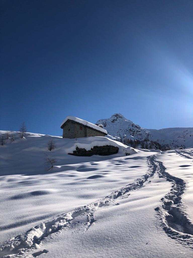 serenata73's tweet photo. Ape in fuga dal giallo verso il bianco sperando di tornare presto a sciamare #Valchiavenna #ValSangiacomo #Lendine #Ciaspole https://t.co/ll1G8Dn9hb