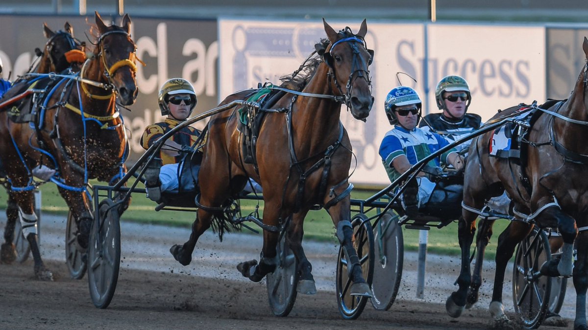 Club Menangle tweet media