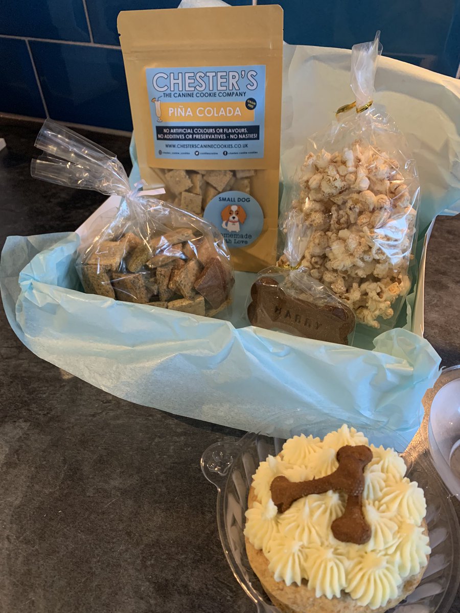CookiesCanine's tweet photo. Our first birthday box has gone out! https://t.co/Wp31lazPcp
