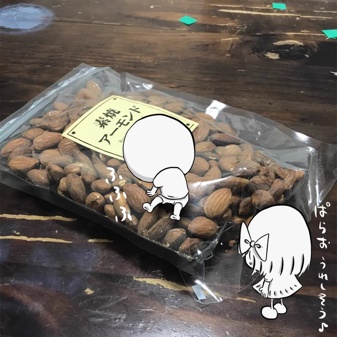 新しいアーモンドが来て一目散に乗りずっと見てるぱらお

#ぱらおとぱらみ 