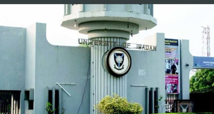 Cruise_Lordd's tweet photo. Rep your University.
Retweet for Unilag, like for University of Ibadan, comment for OAU https://t.co/07wIEpD3yb