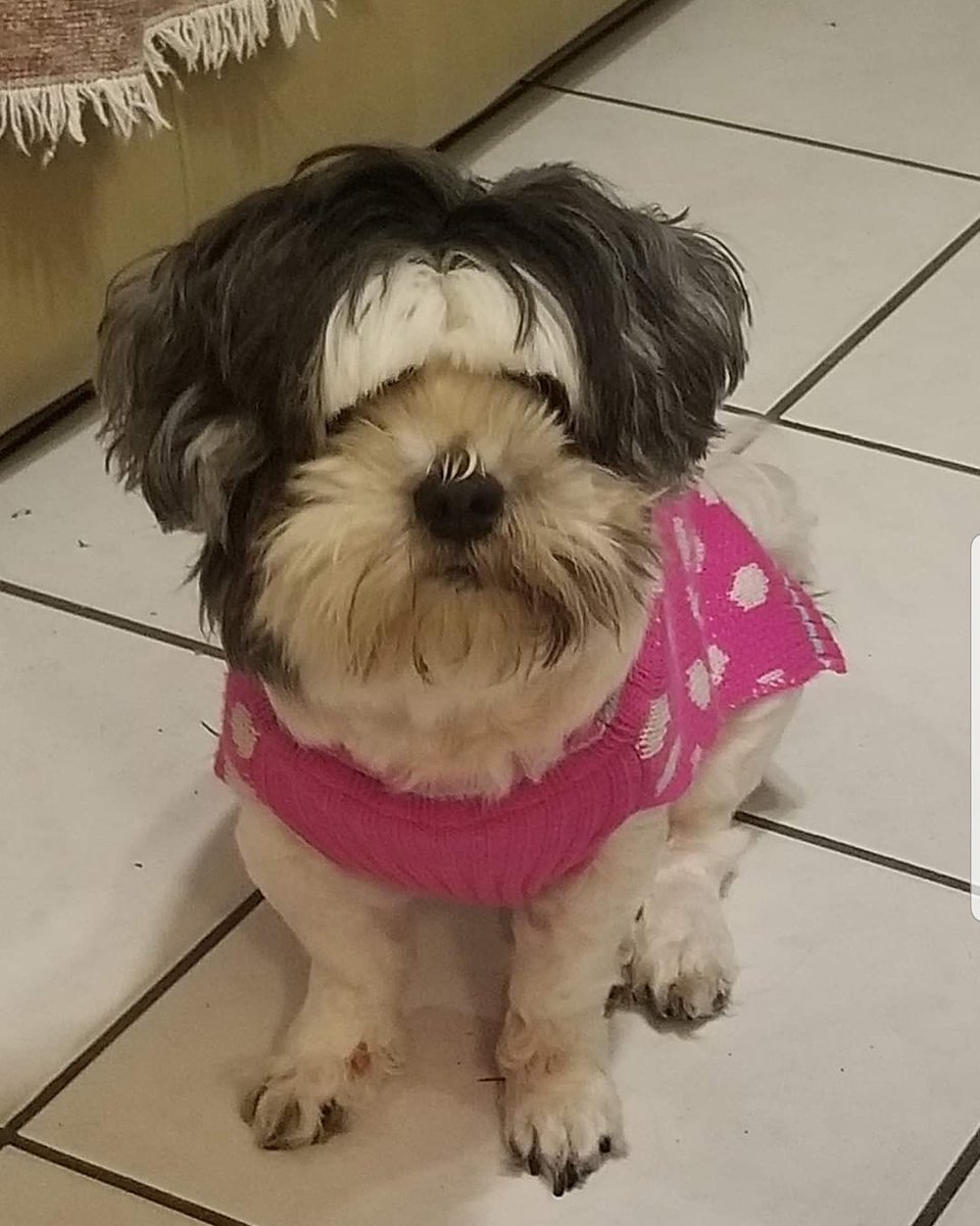 Love my Graci so much...she's a mama's girl