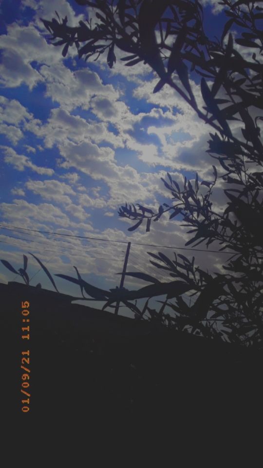 fooz_elwerfalli's tweet photo. الجو اليوم تحسه صيف متنكر بالسحاب 🌞
#ليبيا https://t.co/cjNZZa1Xky