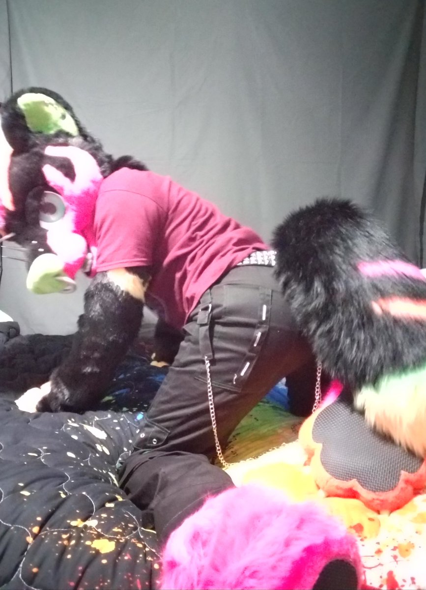 Toxarali's tweet image. I aint no small boi i like to drink and I like to party! What you see is what you get!
Got my don Julio. My mff 2020 shirt and my mff flask! Bought a month ago!
@furfest @lemonbrat #furfest #mff2020 #lemonbrat #FursuitFriday