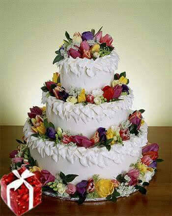  ALL RESPECT FUL SISTERS MY BELOVED TODAY FARAH KHAN MAM HAPPY BIRTHDAY TO YOU GOD BLESS YOU      