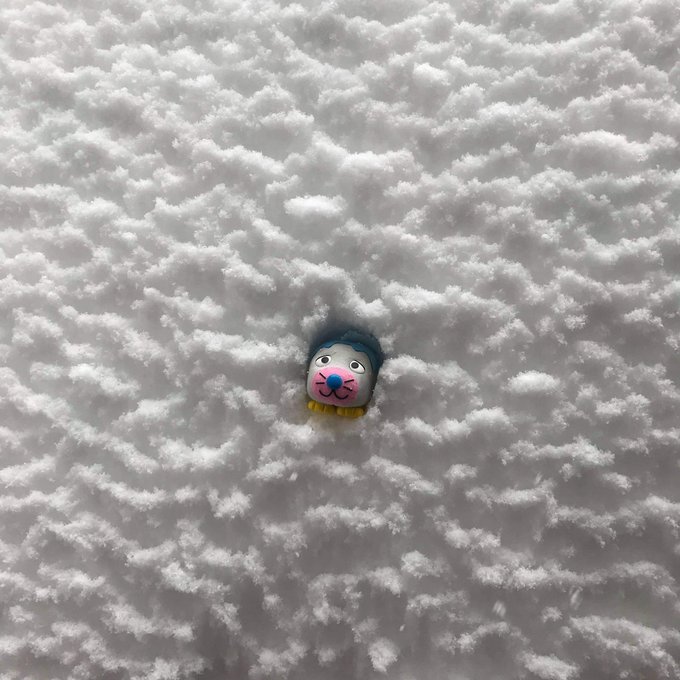 上越大雪のtwitterイラスト検索結果 上越大雪のtwitterイラスト検索結果