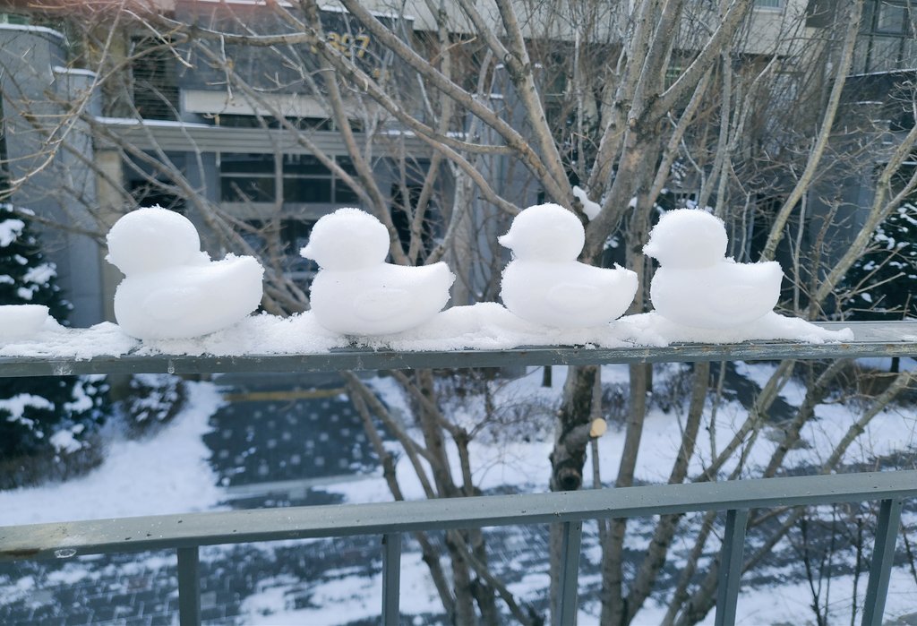 sshimlee's tweet photo. a bit late but just joined snowduck movement in Korea ;) 🌨🦆 inspired by RM of BTS

#theoneandonlyinspiration #BTS #snowducks https://t.co/LKQEmpmnzh
