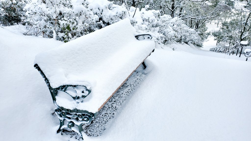 inasayan's tweet photo. 本日の稲佐山。
昨日の下地？のおかげで朝から思いっきり積もってます。
雪だるま作ろうと思うも、ポロポロ崩れてしまい断念(+_+)
チラッと露出してる岩肌見て思いつきましたとさ😃
#長崎
#稲佐山
#積雪
#雪
#雪だるま https://t.co/mExCwaZdXV