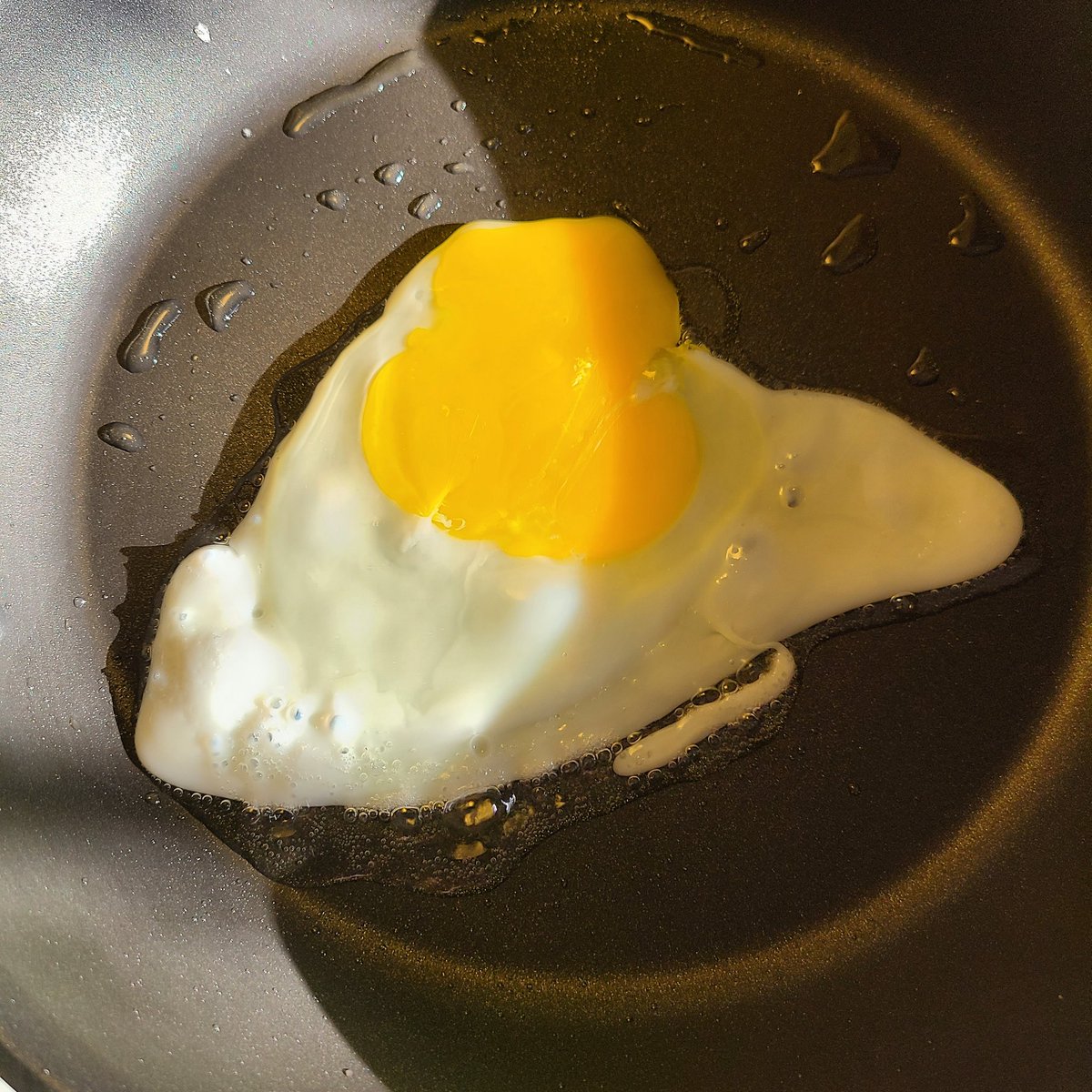 EggPerDay (@EggPerDay) / Posts / X