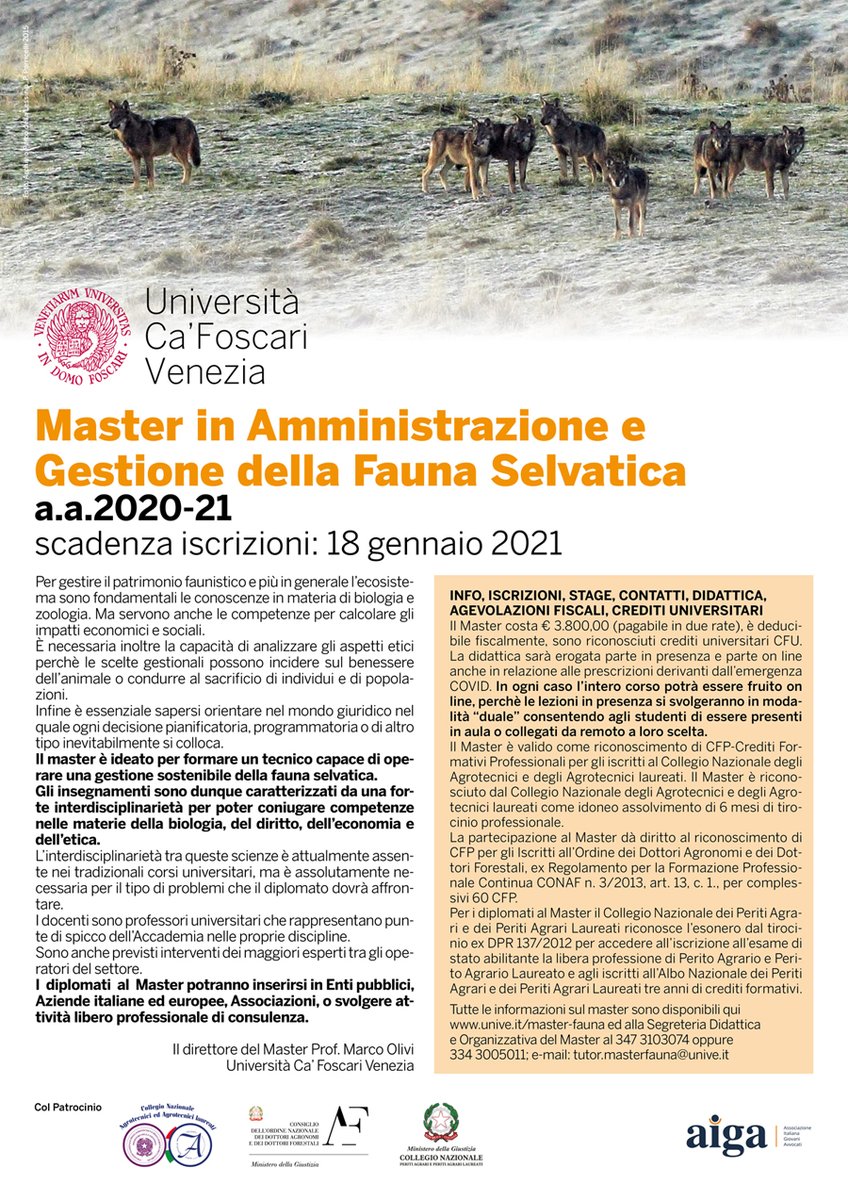 MasterAmbiente's tweet image. Solognac | Resistant gear. solognac.com