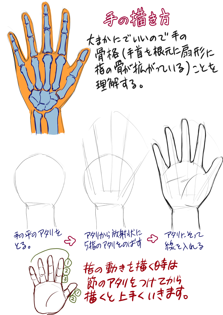 涼原ミハル 手の描き方 描き方講座 基本 手の描き方 手 指 T Co Hs6we96fff T Co G1cxjc5pwh Twitter