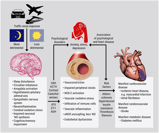 ehj_ed's tweet photo. Environmental pollutants reduction to prevent cardiovascular disease burden: experts state that "its time to act"https://t.co/fBPDYnV7Hg
#pollution #heartdiseases#cardiotwitter @ESC_Journals @escardio https://t.co/rNjJtIvlsP