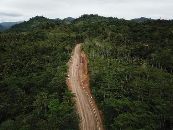 titsergee's tweet photo. #savenegrosforest
#saveNNNP
#NegrosNeedsHelp #PRAYFORNEGROS #PrayForNegrosOccidental https://t.co/2rvHA5zcYc