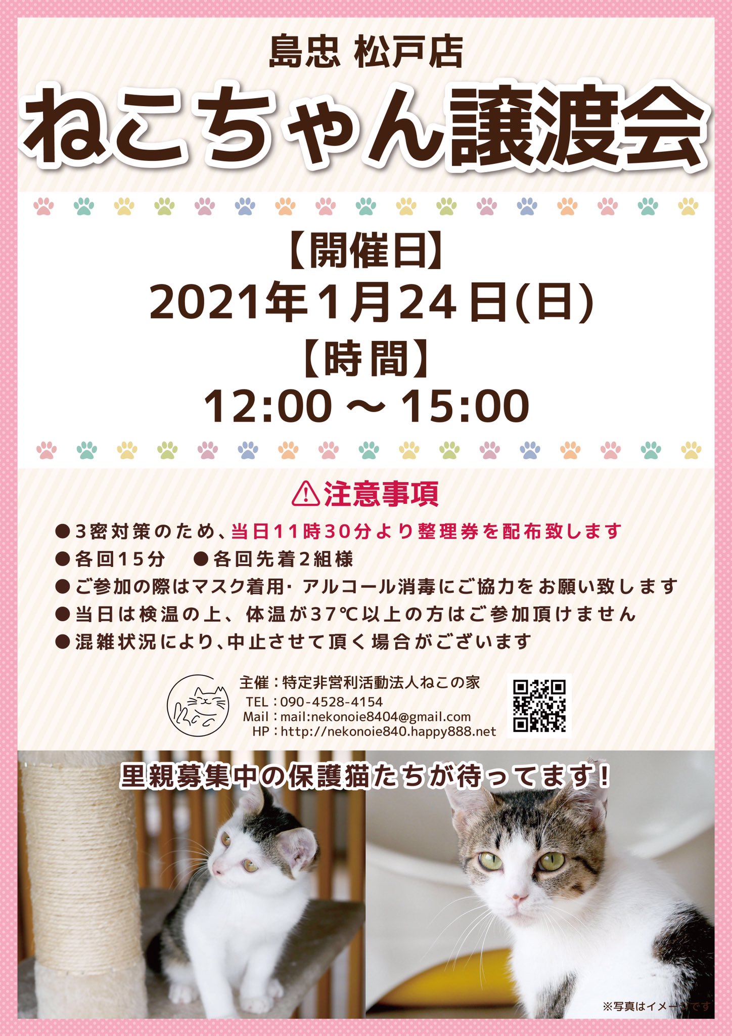 翠ちゃん家の茶乃間 21年1月24日 日 12時から15時 島忠松戸店さんで保護猫の譲渡会を行います お店では会えない猫ちゃんも参加予定です ぜひいらしてください 詳細は順次お知らせいたします 翠ちゃんもいつになく真剣です 保護猫 譲渡会
