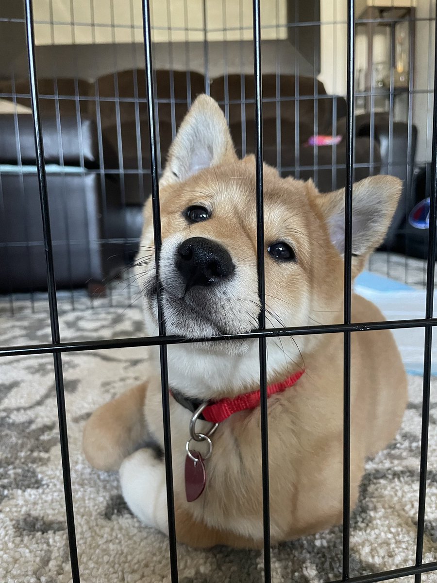 puthyb0i's tweet photo. late night Aka post https://t.co/twwfZXKmp4
