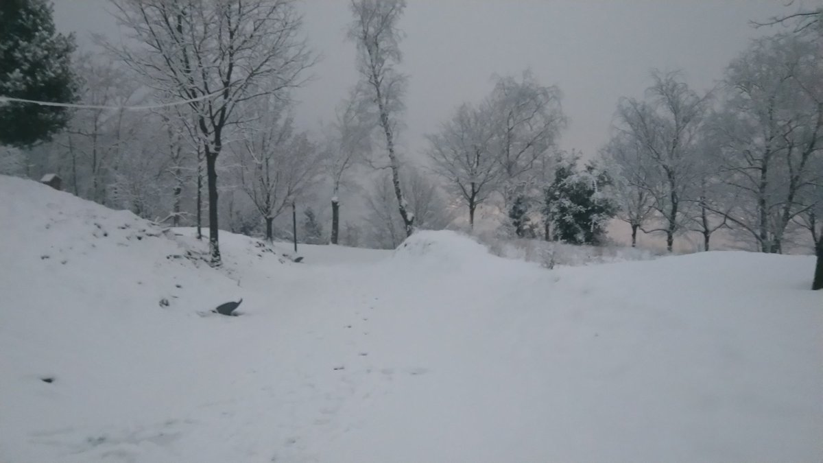 MeteOIot's tweet photo. Seguim 💪❄️❄️❄️ https://t.co/swCRgbCc7i