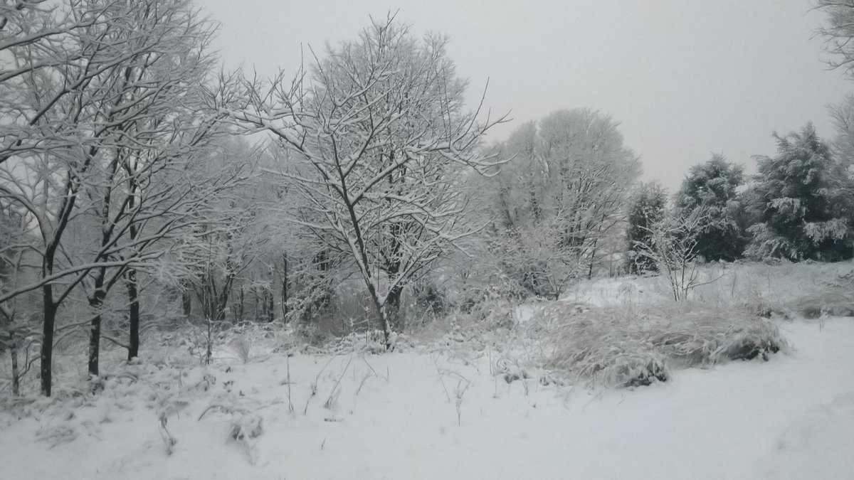MeteOIot's tweet photo. Seguim 💪❄️❄️❄️ https://t.co/swCRgbCc7i