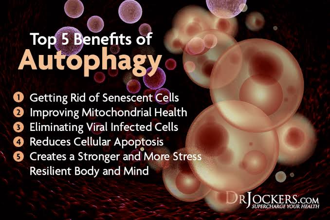 Benefits of Autophagy Removing toxic proteins from cells that are attributed to neurodegenerative diseases(parkinsons and almeizer) and agingRecycling residual proteins.Providing energy and building blocks for cell repairsRegeneration of new and healthy cells.