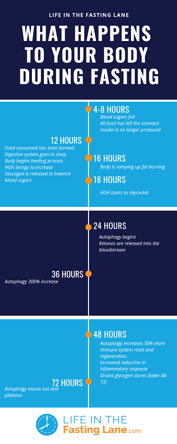 Stages my body went through in Adapting to the fast.First 12hrs glucose is still utilized in the presence of insulin12-18hrs glycogen is mobilized to balance the falling blood glucose energy( low energy and extreme hunger here)18hrs+ fat is the mobilization skyrockets