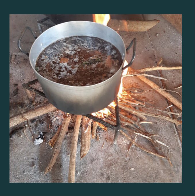 SwaTsakani's tweet photo. The 2nd wave of Covid-19 is upon us & the team & I are taking all the necessary precautions to stay safe. Deep bush walks to collect ingredients 4rm Mother Nature for steaming has become a ritual. #FarmingTwitter #Futha
(Disclaimer: Not qualified to tell you what’s in the mix.) https://t.co/u2z6FBsTam