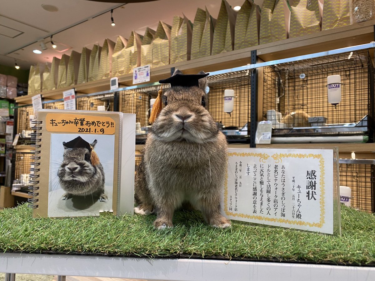 キューちゃん Twitter Search